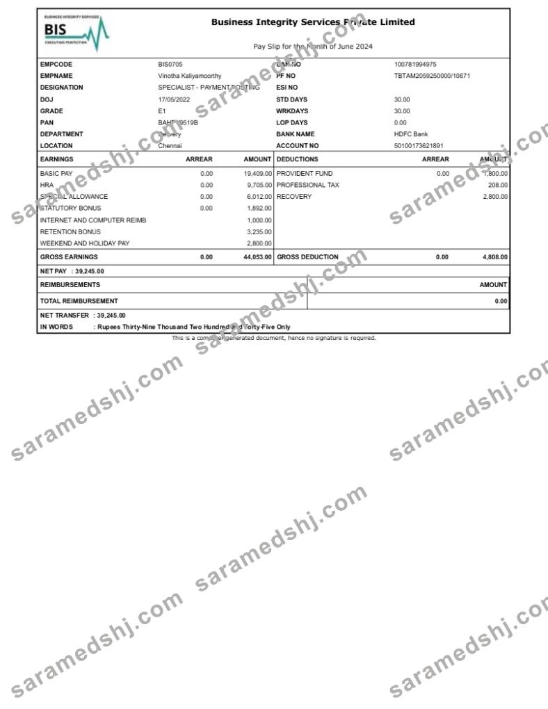 Business Integrity Services payslip template in Word and PDF formats.pdf, 1